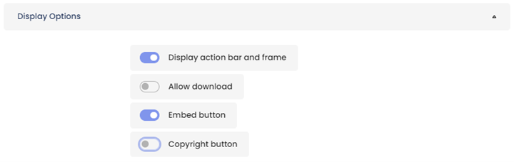 Moodle - H5P Activity - Display Options